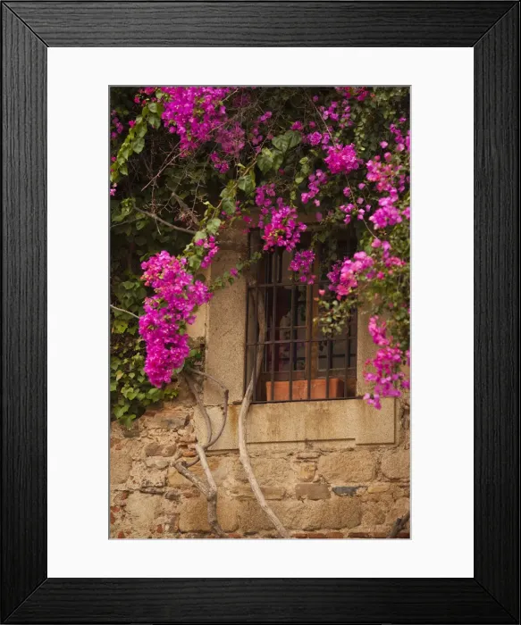 Framed Print : DDE-90035405 Framed Print : DDE-90035405