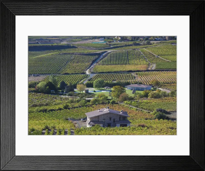 Framed Print : DDE-90035406