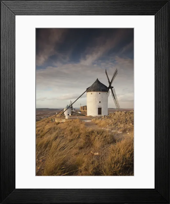 Framed Print : DDE-90035425 Framed Print : DDE-90035425
