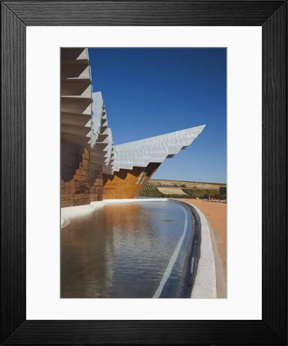 Framed Print : DDE-90035433