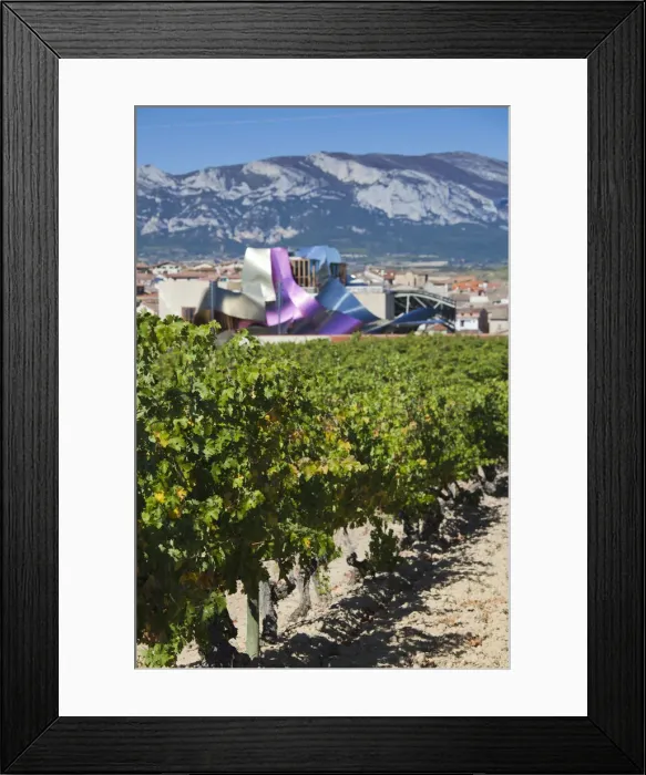 Framed Print : DDE-90035441 Framed Print : DDE-90035441
