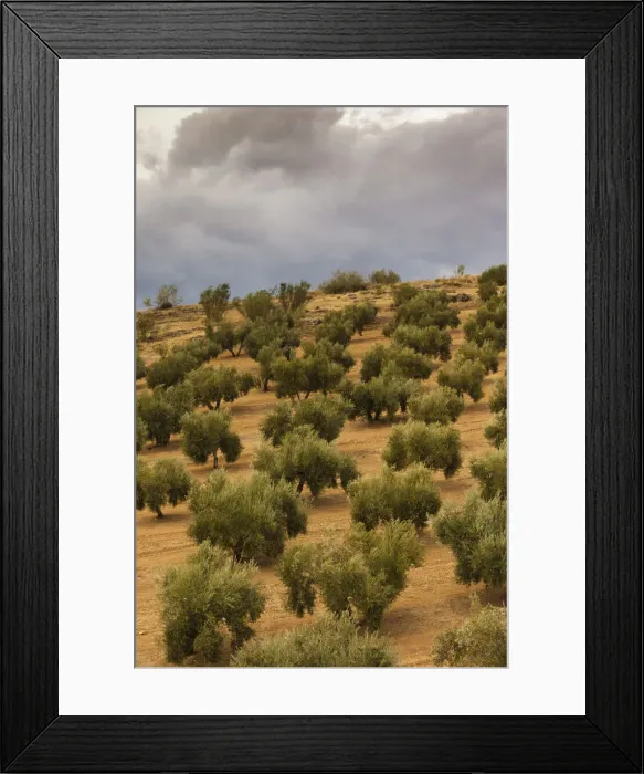 Framed Print : DDE-90035443 Framed Print : DDE-90035443