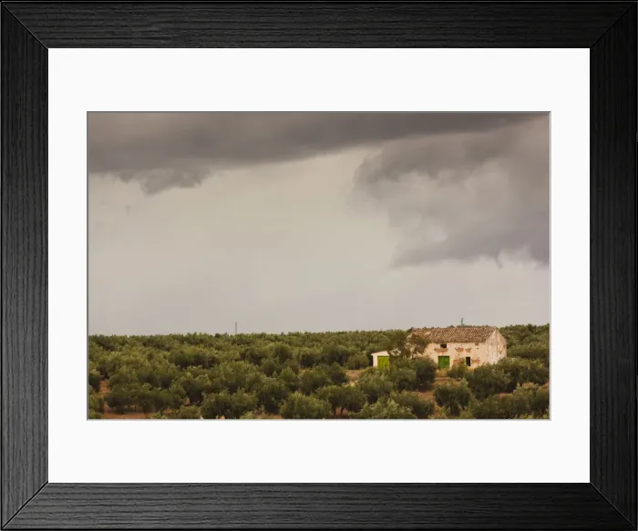 Framed Print : DDE-90035446 Framed Print : DDE-90035446