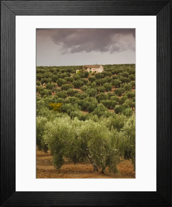 Framed Print : DDE-90035445 Framed Print : DDE-90035445