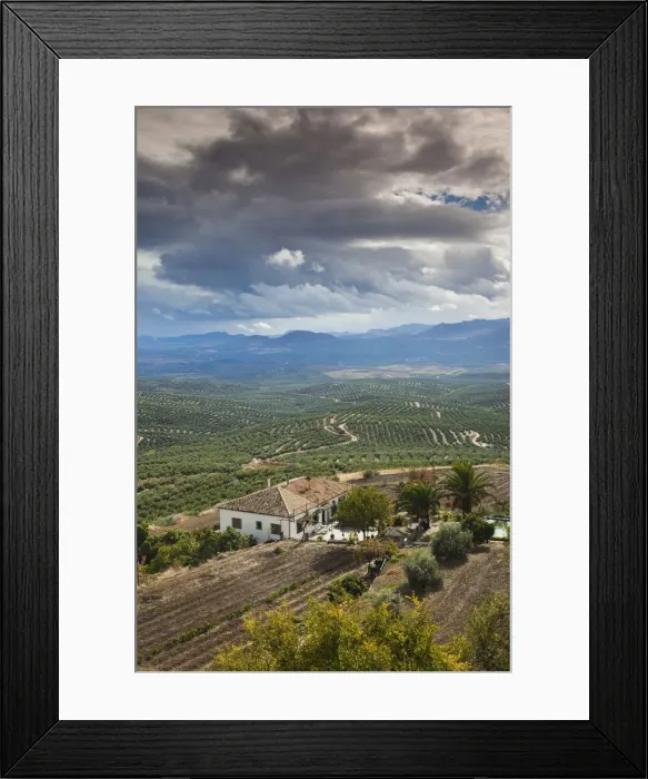Framed Print : DDE-90035452 Framed Print : DDE-90035452