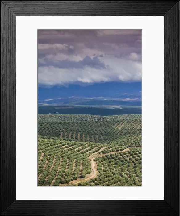 Framed Print : DDE-90035453 Framed Print : DDE-90035453