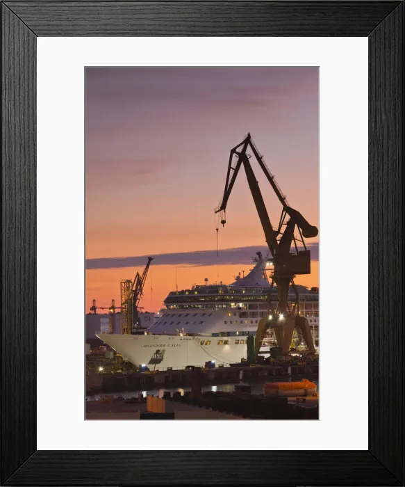 Framed Print : DDE-90035463 Framed Print : DDE-90035463