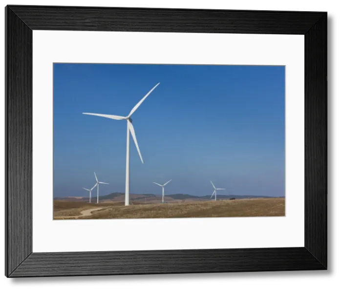 Framed Print : DDE-90035464 Framed Print : DDE-90035464