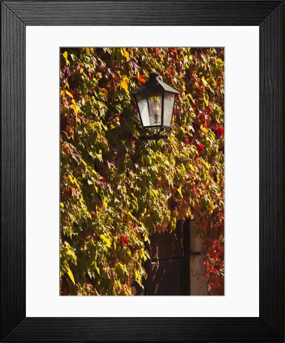 Framed Print : DDE-90035462 Framed Print : DDE-90035462