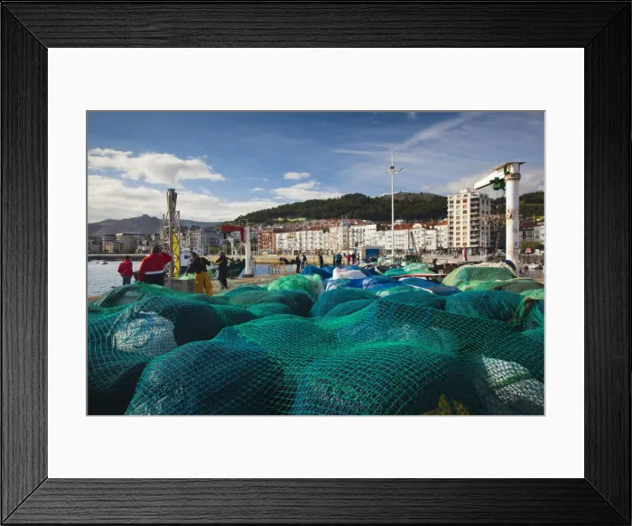 Framed Print : DDE-90035470 Framed Print : DDE-90035470