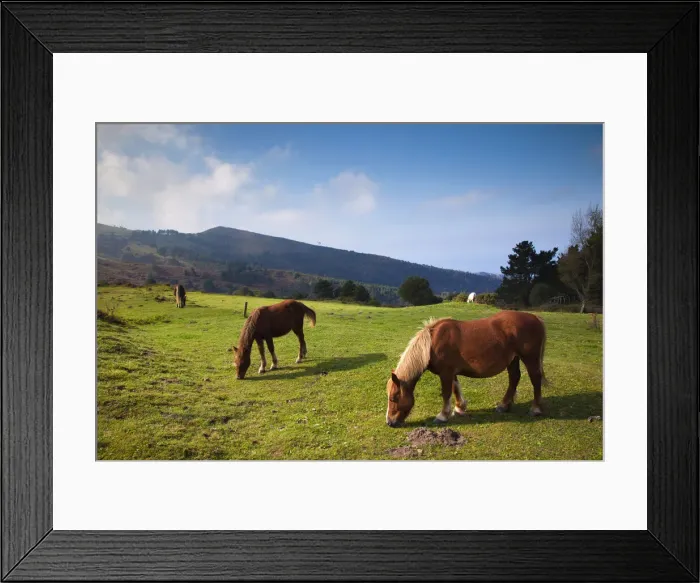 Framed Print : DDE-90035475 Framed Print : DDE-90035475