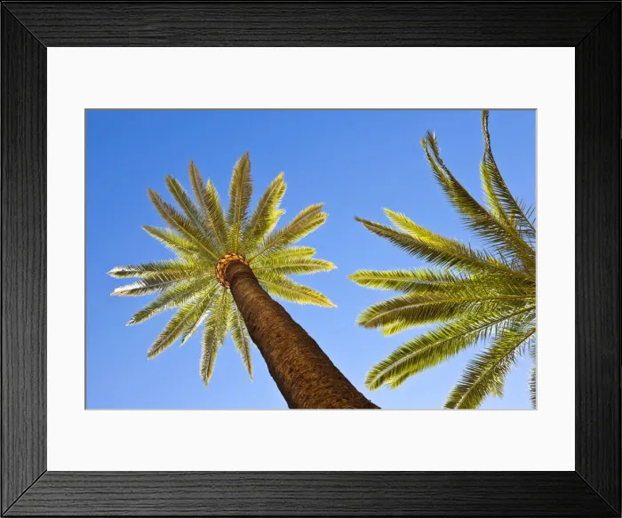 Framed Print : DDE-90035480 Framed Print : DDE-90035480