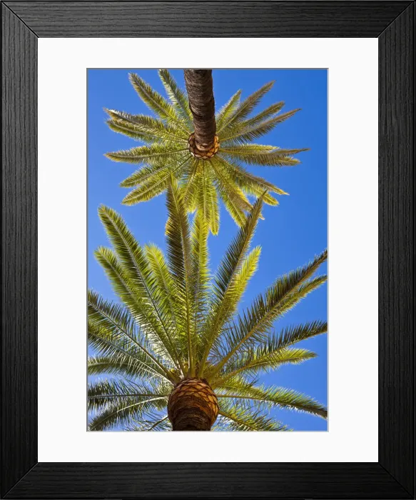 Framed Print : DDE-90035481 Framed Print : DDE-90035481