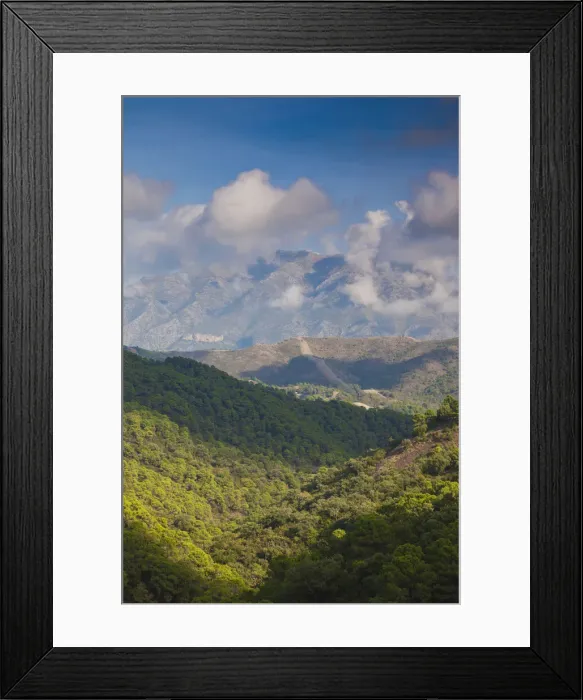 Framed Print : DDE-90035491 Framed Print : DDE-90035491
