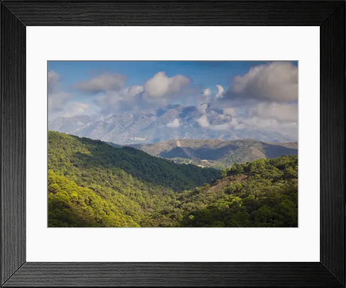 Framed Print : DDE-90035490
