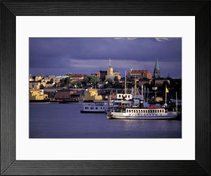 Framed Print : DDE-90035515 Framed Print : DDE-90035515