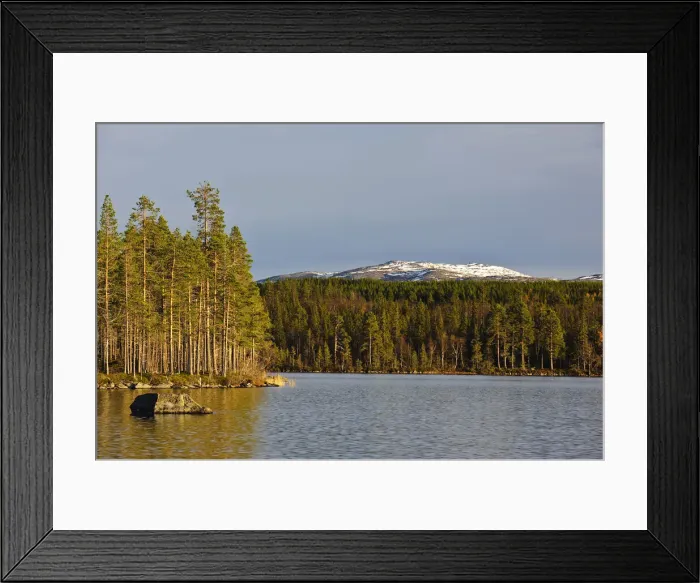 Framed Print : DDE-90035517 Framed Print : DDE-90035517
