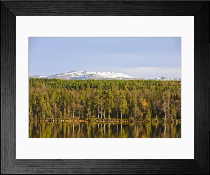 Framed Print : DDE-90035516 Framed Print : DDE-90035516