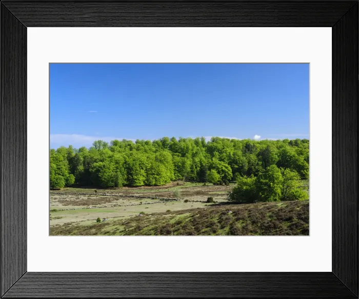 Framed Print : DDE-90035523 Framed Print : DDE-90035523