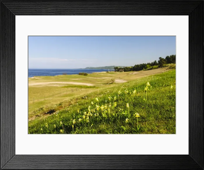 Framed Print : DDE-90035525 Framed Print : DDE-90035525