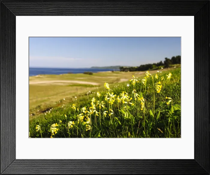 Framed Print : DDE-90035526 Framed Print : DDE-90035526