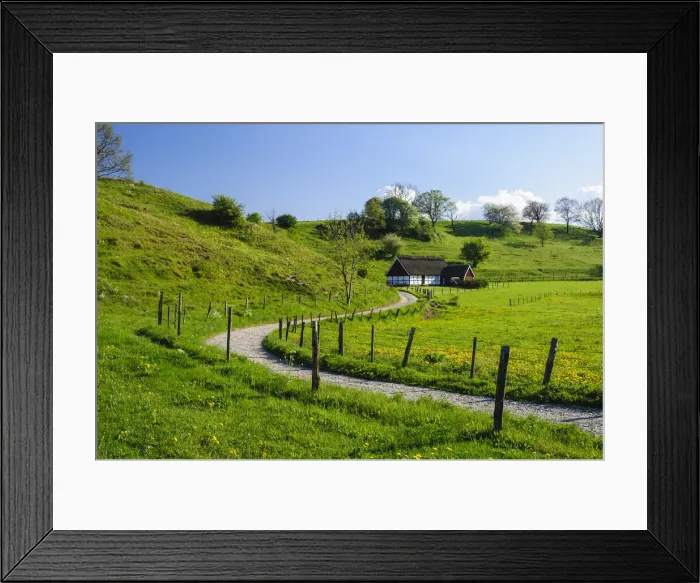 Framed Print : DDE-90035527 Framed Print : DDE-90035527