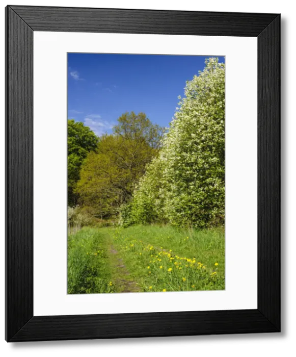 Framed Print : DDE-90035524 Framed Print : DDE-90035524