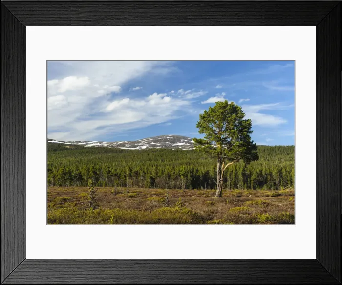 Framed Print : DDE-90035528 Framed Print : DDE-90035528