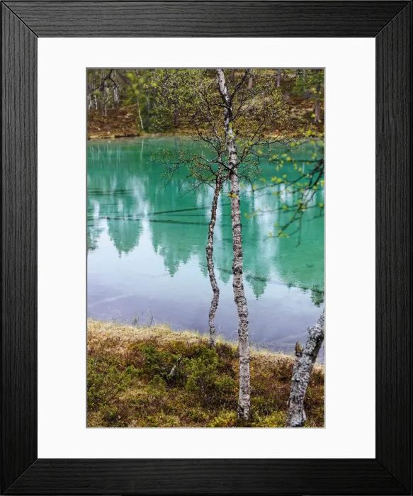 Framed Print : DDE-90035536 Framed Print : DDE-90035536