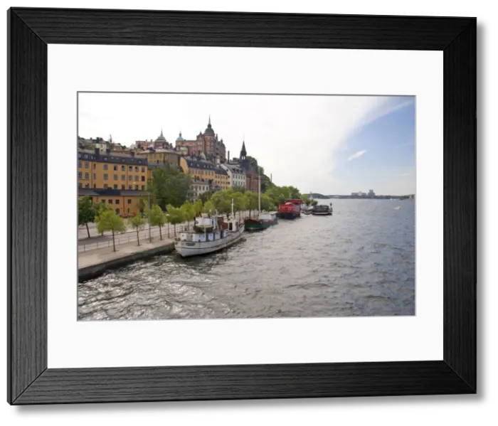 Framed Print : DDE-90035549 Framed Print : DDE-90035549