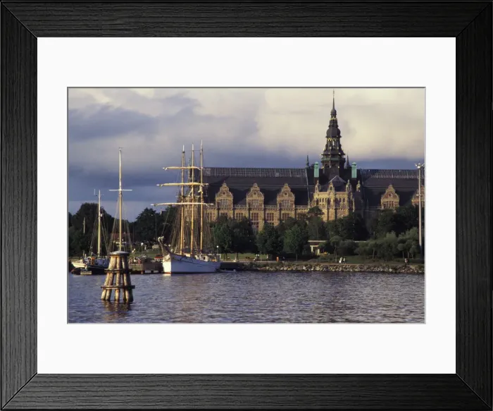 Framed Print : DDE-90035551 Framed Print : DDE-90035551