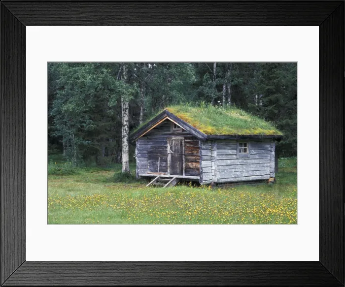 Framed Print : DDE-90035550 Framed Print : DDE-90035550