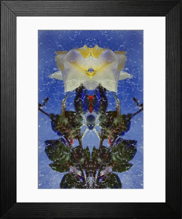 Framed Print : DDE-90035558