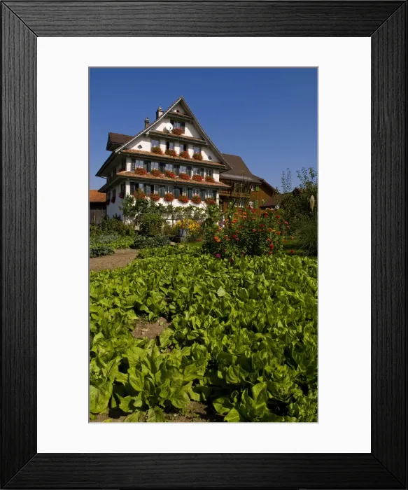Framed Print : DDE-90035562 Framed Print : DDE-90035562