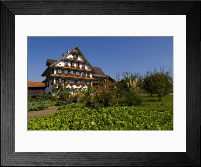 Framed Print : DDE-90035563 Framed Print : DDE-90035563