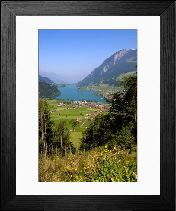 Framed Print : DDE-90035564 Framed Print : DDE-90035564