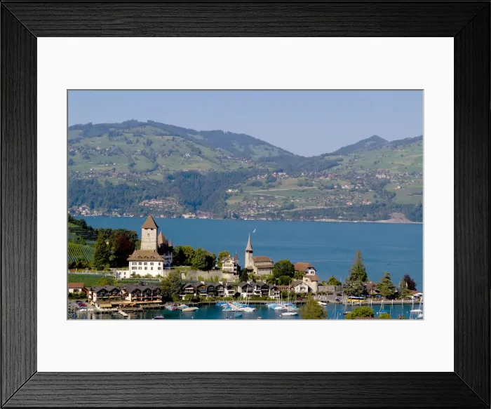 Framed Print : DDE-90035567