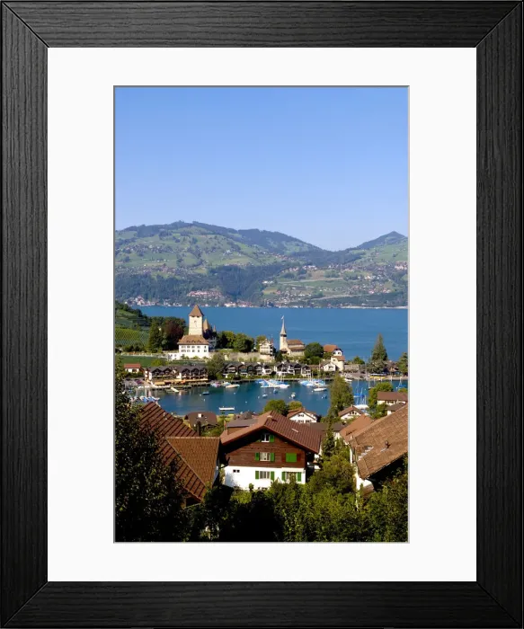 Framed Print : DDE-90035568 Framed Print : DDE-90035568