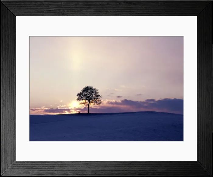 Framed Print : DDE-90035584 Framed Print : DDE-90035584