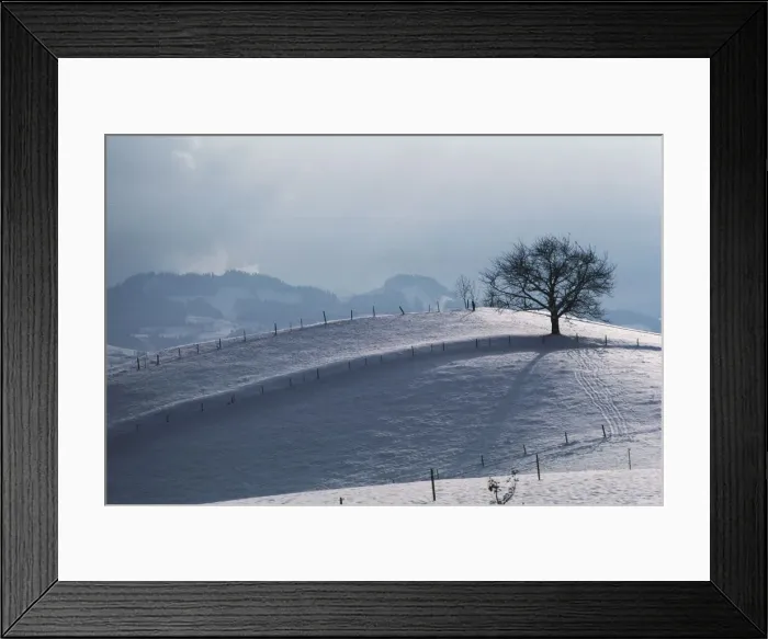 Framed Print : DDE-90035585