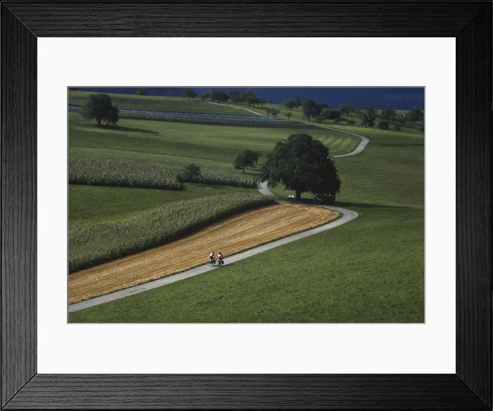 Framed Print : DDE-90035587 Framed Print : DDE-90035587