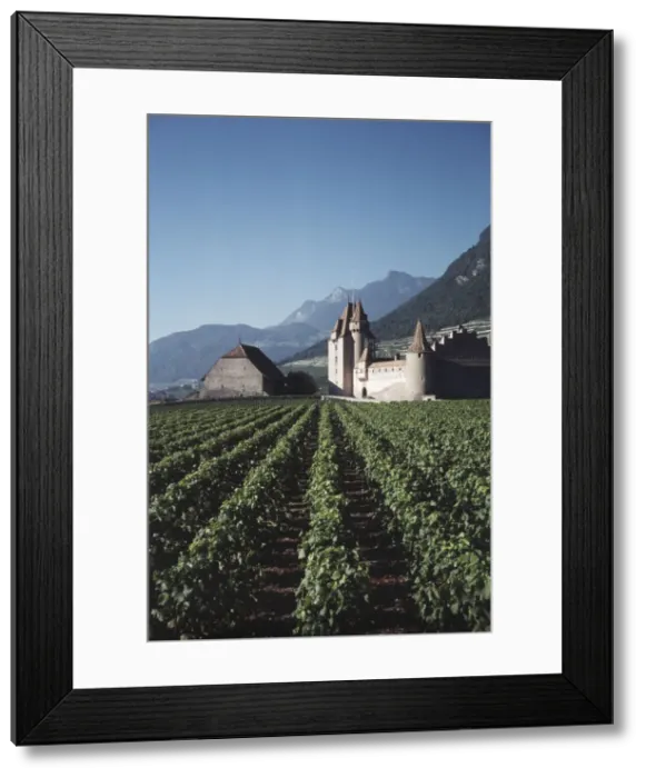 Framed Print : DDE-90035588 Framed Print : DDE-90035588
