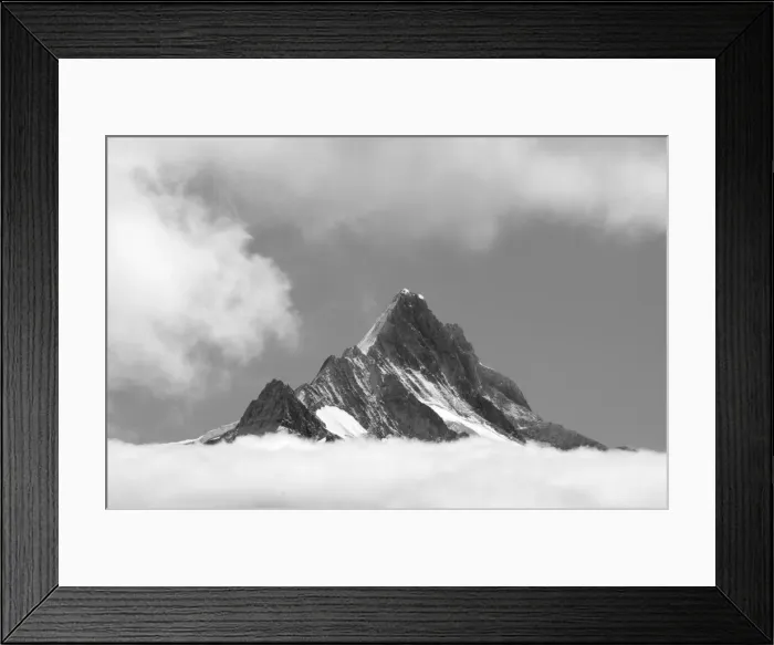 Framed Print : DDE-90035592 Framed Print : DDE-90035592