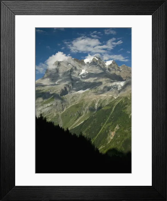 Framed Print : DDE-90035594 Framed Print : DDE-90035594