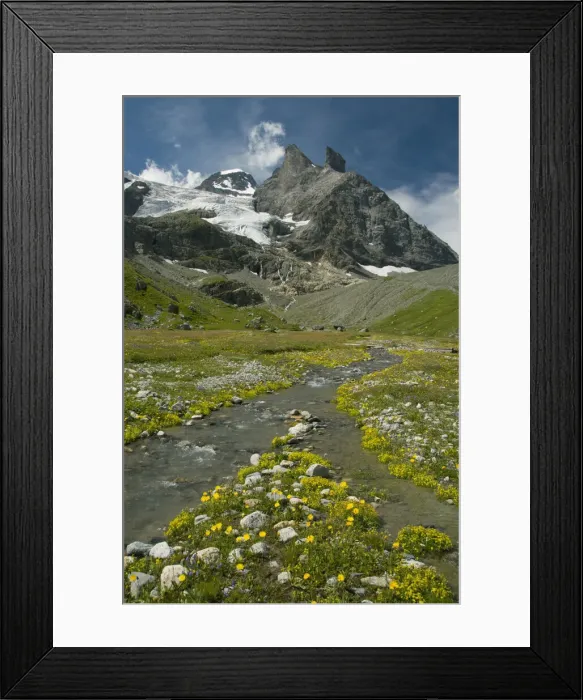 Framed Print : DDE-90035599