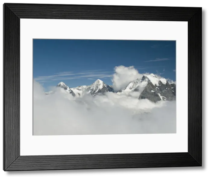 Framed Print : DDE-90035600 Framed Print : DDE-90035600