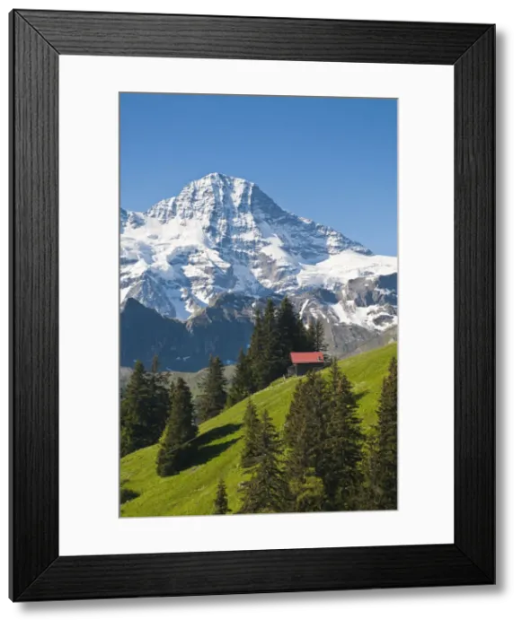 Framed Print : DDE-90035603 Framed Print : DDE-90035603