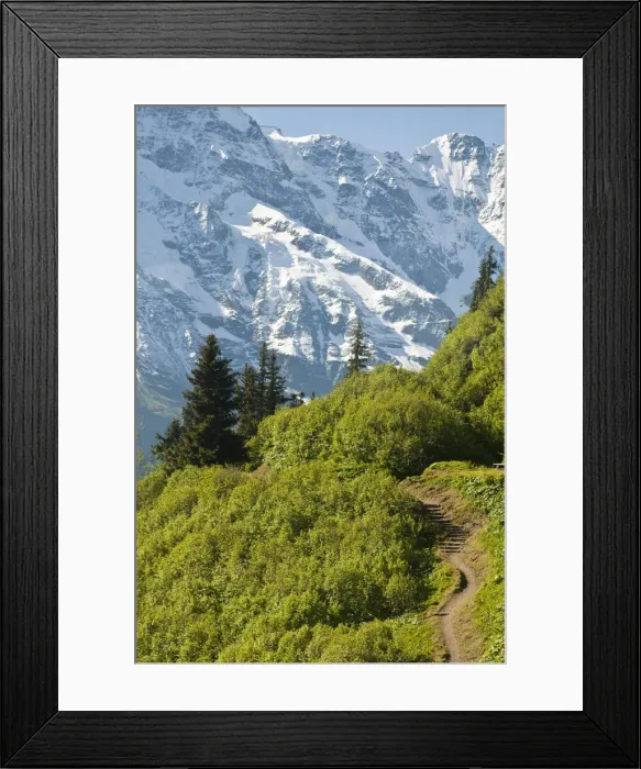 Framed Print : DDE-90035602 Framed Print : DDE-90035602