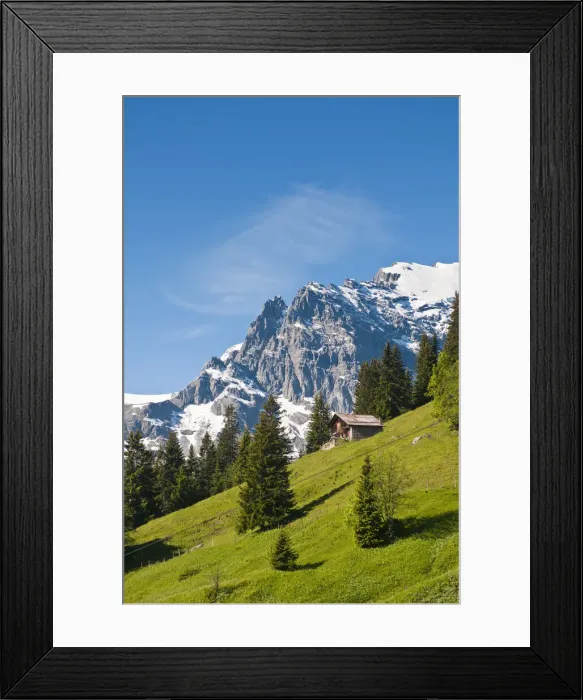 Framed Print : DDE-90035604 Framed Print : DDE-90035604