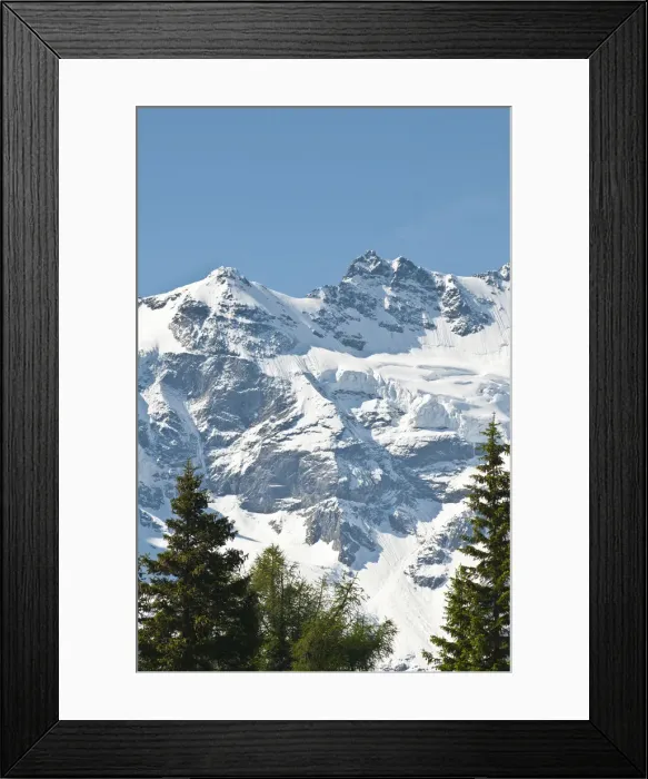 Framed Print : DDE-90035605
